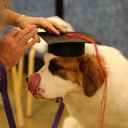 photograph by PeterW